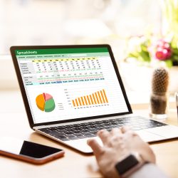 Excel Model Risk Management